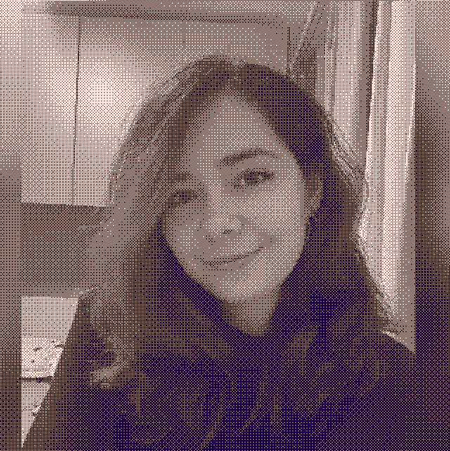 Nicoleta Ciaușu